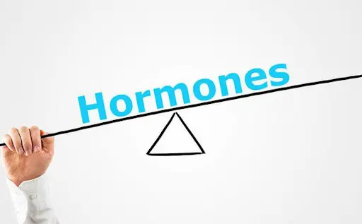 Rối loạn hormone là nguyên nhân gây rong kinh kéo dài